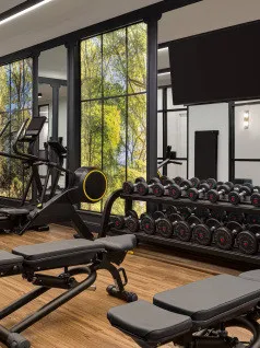 Amenities